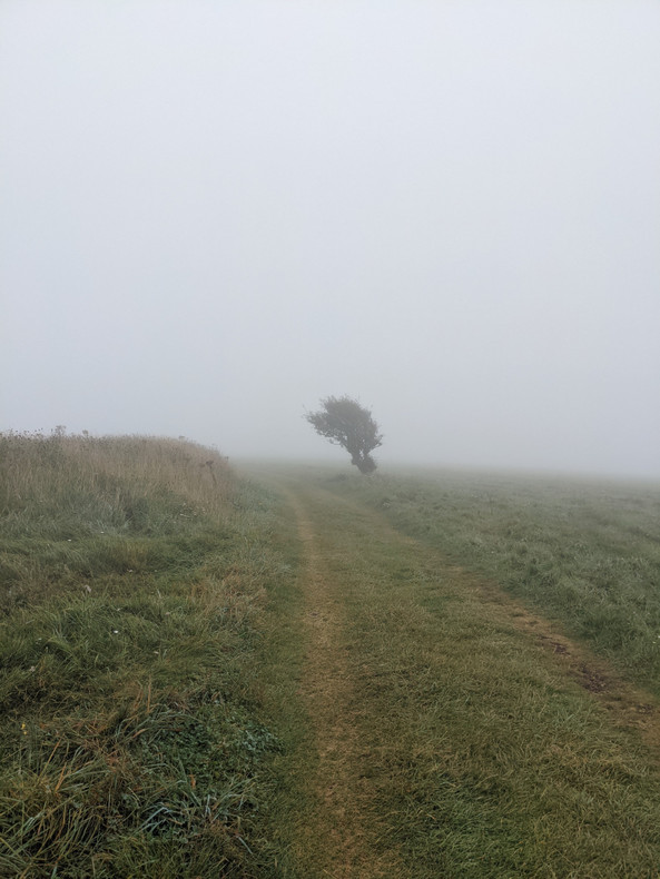 The South Downs Way