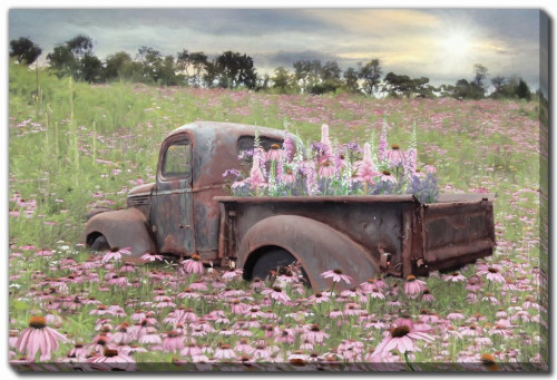 Beauty and the Beast