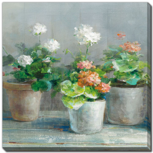 Farmhouse Geraniums II