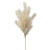 Desert Feather Pampas Stem
