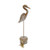 Heron