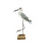 Gull