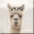Alpaca With Flowers