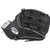 Rawlings Heart of the Hide LE Baseball Glove 11.75 PRO315-6BW Right Hand Throw