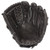 Rawlings PRO12DHJB Heart of the Hide 12 inch Baseball Glove (Right Handed Throw)