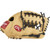 Rawlings Select Pro Lite 11.5 in JJ Hardy Youth Baseball Glove Right Hand Throw