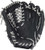 Rawlings PRO204DC-4BG HOH Dual Core Salesman Sample Baseball Glove Black Right Hand Throw