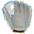 Rawlings Color Sync 5 Baseball Glove 11.5 IF Pro I Web Right Hand Throw