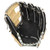 Rawlings Gold Glove Club July GOTM 11.75 Baseball Glove Right Hand Throw