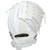 Rawlings Liberty Advanced Color Series Fast Pitch Softball Glove 12.5 White Right Hand Throw