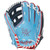 Rawlings Heart of the Hide 12.25 inch H Web Color Sync 6 Baseball Glove Right Hand Throw