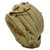 Ballgloves Vivid Series 11.5 Inch I Web Camel Tumble Right Hand Throw