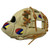 Ballgloves Vivid Series 11.5 Inch I Web Camel Tumble Right Hand Throw