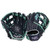 Rawlings Heart of The Hide 11.75 Inch GOTM July 2024 Split Single Post Web Baseball Glove NP Right Hand Throw