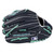 Rawlings Heart of The Hide 11.75 Inch GOTM July 2024 Split Single Post Web Baseball Glove NP Right Hand Throw