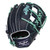 Rawlings Heart of The Hide 11.75 Inch GOTM July 2024 Split Single Post Web Baseball Glove NP Right Hand Throw