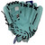 Mizuno Premier Elte X GPEXF-50 Fastpitch Softball Glove 11.5 Inch Right Hand Throw