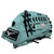 Mizuno Premier Elte X GPEXF-50 Fastpitch Softball Glove 11.5 Inch Right Hand Throw
