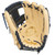 Rawlings Pro Preferred Baseball Glove AV11 I Web 11.5 Inch Right Hand Throw