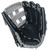 Rawlings Pro Preferred Baseball Glove AJ99N H Web 12.75 Inch Right Hand Throw