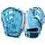 Rawlings Heart of the Hide 12.25 Baseball Glove H Web GOTM July Right Hand Throw