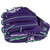 Rawlings Heart of the Hide 11.5 Baseball Glove 204-2XPU I Web Right Hand Throw