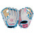 Rawlings PRO205SB-2WC Heart of The Hide Softball Glove 11.75 IN Right Hand Throw WHITE/PINK