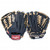 Rawlings GXLE175NC Navy Camel Gamer XLE Series 11.75 inch Baseball Glove (Right Handed Throw)