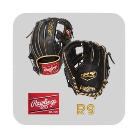 rawlings r9 baseball gloves