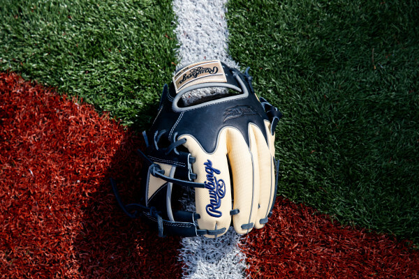 rawlings-heart-of-the-hide-colour-sync-limited-edition-pro204w-2xnss-11-12-baseball-glove-6.jpg