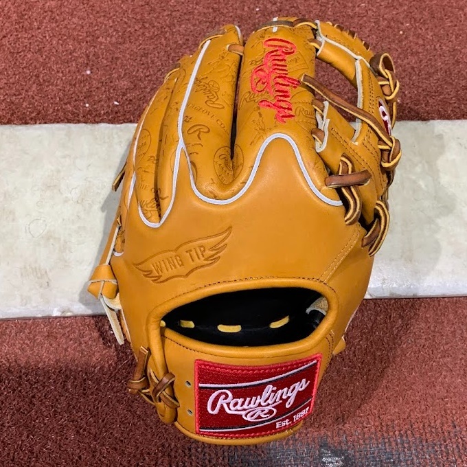 rawlings-leather-print-heart-of-the-hide-wingtip-baseball-glove-2.jpg