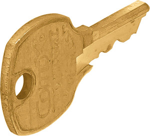 Master Key, Brass, for Disk Cylinder E41A