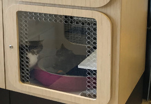 Pet Dog Cat House Store Kennels Crate Choose size,with window.One Level. Pet Dog Cat House Store Kennels Crate Choose size,with window.One Level.
