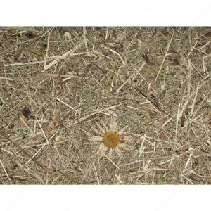 Wildspitze Sheet - Alpine Grass 0010,