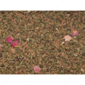 Roasa Sheet - Rose 0110 Roasa Sheet - Rose 0110