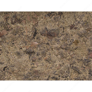 Bamboart Sheet - Lichen on Bark 0144, Bamboart Sheet - Lichen on Bark 0144,