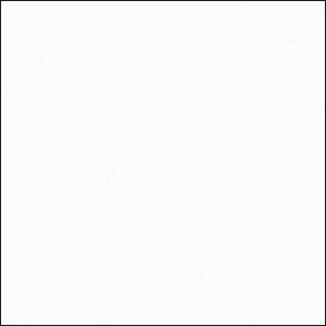 #1005 Frosty White, Width 3/4 in