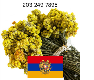 1 Oz Immortelle Helichrysum Pallasii Choose weight, Dried, Herbal Tea ,Organic from the Mountains of Armenia 100%, Hand picked