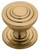1-3/16" JULIAN DISC KNOB, CHAMPAGNE BRZ