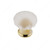 Cabinet Knob 342, Finish Frosted / Polished Brass