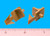 Shelf Support - 1/2" - 5mm peg - Locking Wings, Tan, Bag of 24
