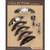 Expression Board - 97256