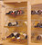 Wine Bottle Racks, Metal, 7, 35-5/8"L X 4-1/4"H
