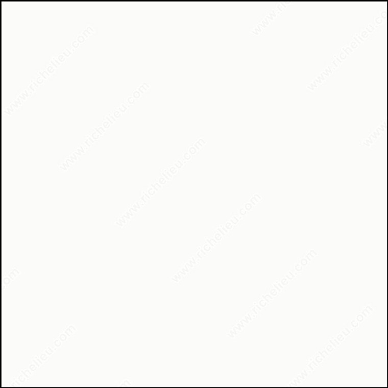 #1005 Frosty White, Width 7/8 in