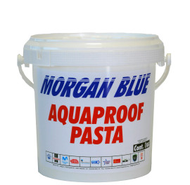 Aquaproof Paste 1000CC