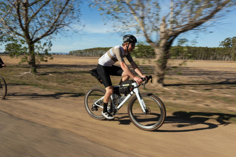 Frame Bag Medium