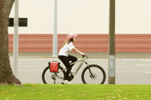 Pannier Receiver