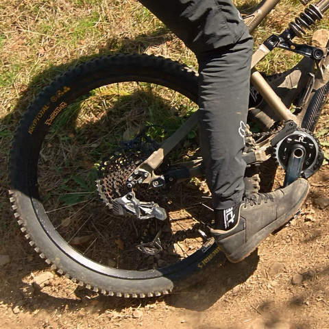 Chain Damper Hope