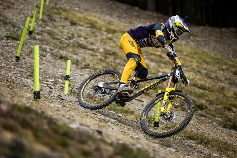 Blacklabel 307 DH Expert 27.5