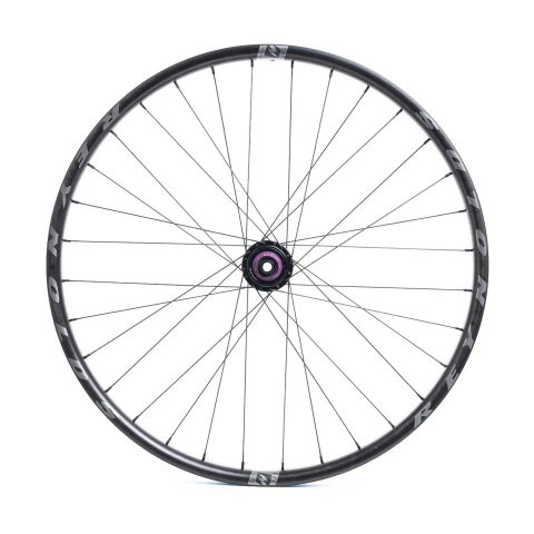 Blacklabel 307 DH Expert 27.5